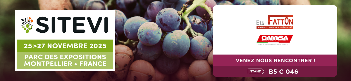 sitevi-2025-fatton-camisa