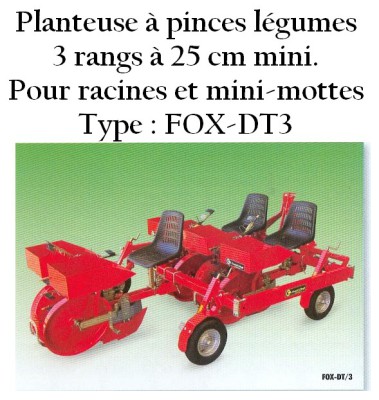 Planteuse à pinces 3 rangs légumes Checchi & Magli