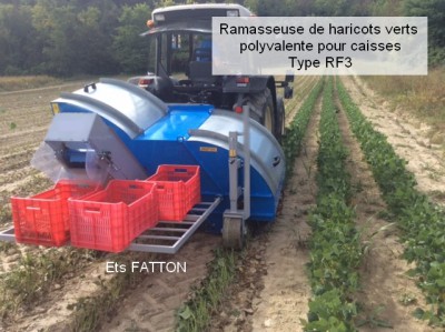 Ramasseuse de haricots verts polyvalente pour caisses