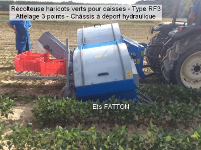 Récolteuse haricots verts pour caisses