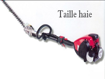 Taille haie