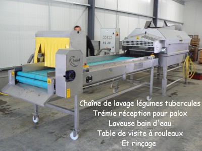 Chaîne de lavage légumes tubercules