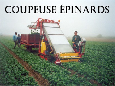 Coupeuse épinards     