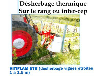 Désherbage thermique sur le rang ou inter-cep