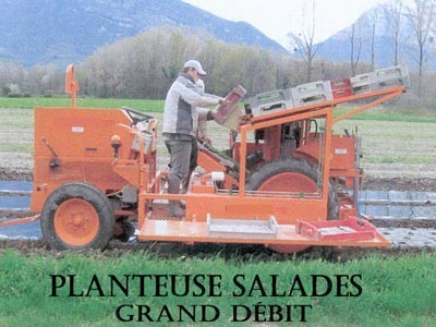 Planteuse salades REGERO