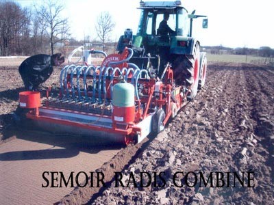 Semoir radis combiné