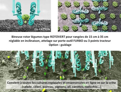Bineuse rotor légumes ROTOVERT