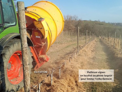 Pailleuse vignes