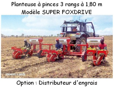 Planteuse à pinces 3 rangs à 1,80 m Checchi & Magli