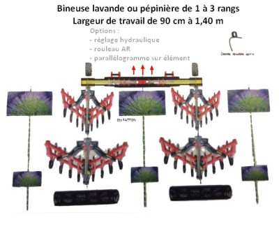 Bineuse lavande ou pépinière
