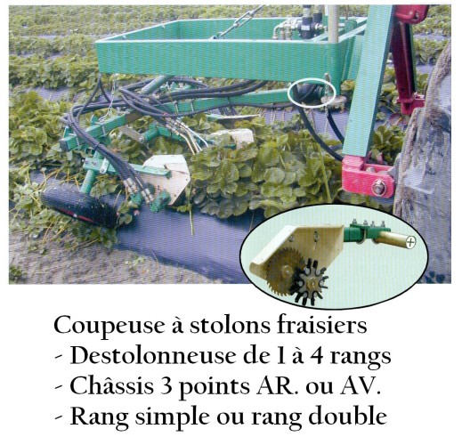 Coupeuse à stolons fraisiers