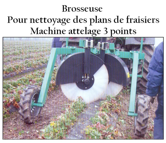 Brosseuse pour nettoyage des plans de fraisiers