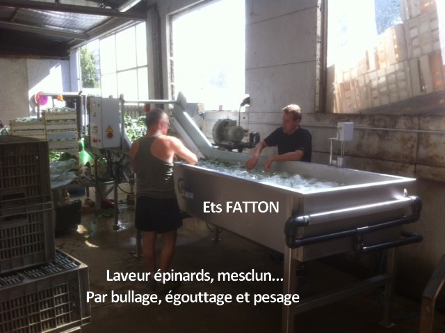 Laveur épinards, mesclun