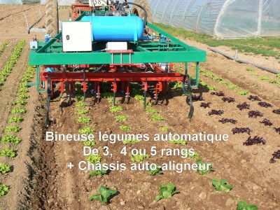 Bineuse légumes automatique