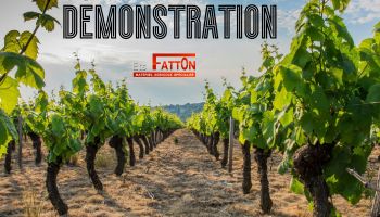 Démonstration matériel vignes